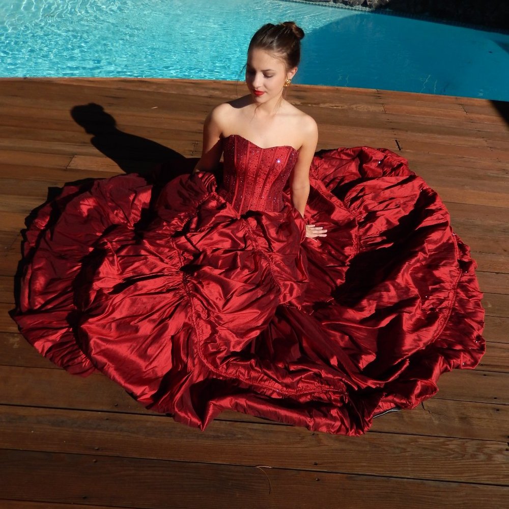 JUSTIN ALEXANDER RED CARPET GOWN SIZE 4 - Picture 5 of 15